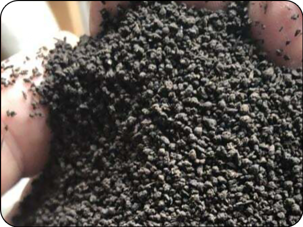 Pelletized Organic Compost